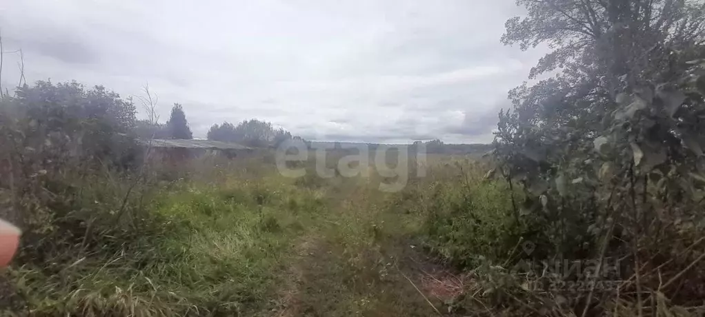 Участок в Саратовская область, Балашовский район, с. Репное Лесной ... - Фото 1
