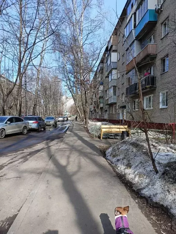 1-к кв. Московская область, Люберцы ул. Гоголя, 16 (31.0 м) - Фото 0