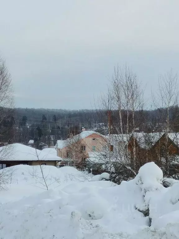 Участок в Новосибирская область, Новосибирский район, Барышевский ... - Фото 2