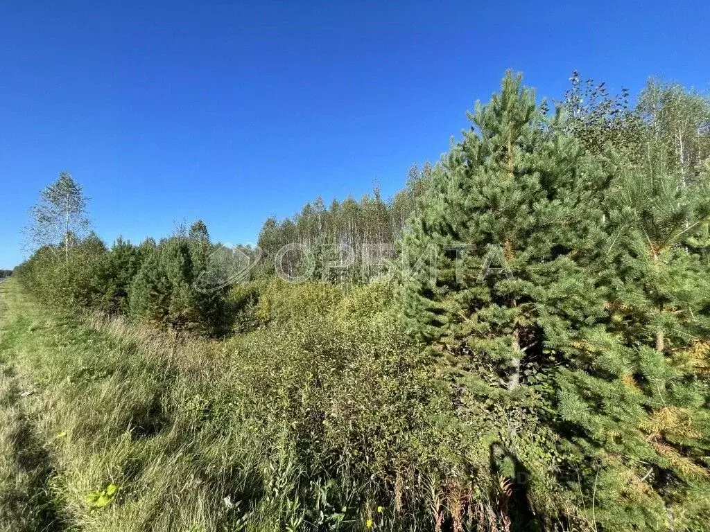 Участок в Тюменская область, Нижнетавдинский муниципальный округ, д. ... - Фото 1