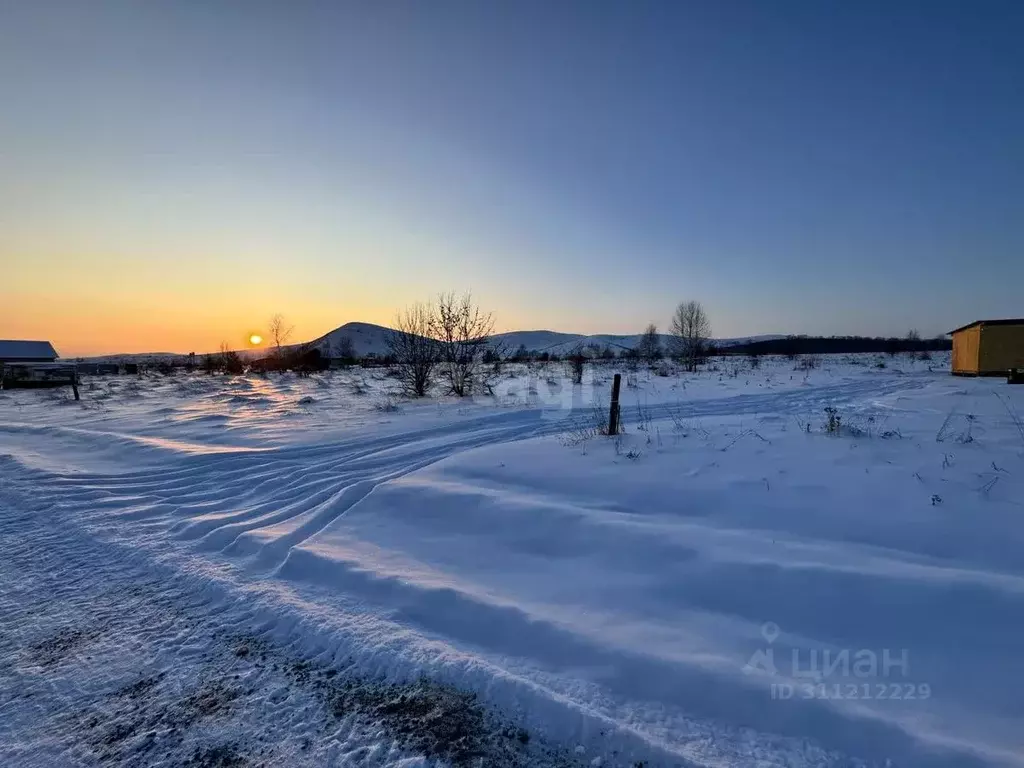 Участок в Алтай, Майминский район, с. Подгорное ул. Магистральная (8.0 ... - Фото 0