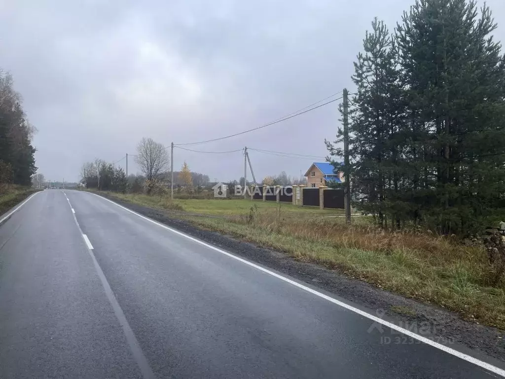 Участок в Владимирская область, Судогодский район, с. Чамерево ул. ... - Фото 2