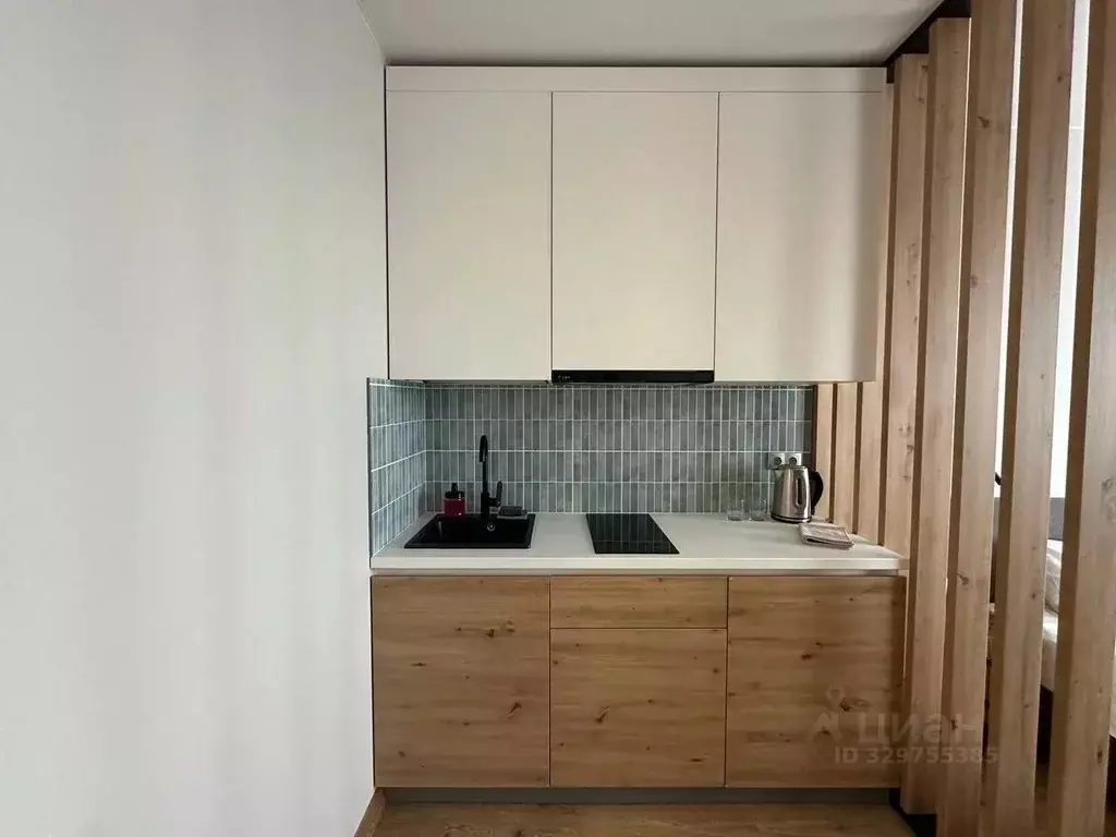 Студия Санкт-Петербург дор. На Турухтанные острова, 5к1 (27.0 м) - Фото 2