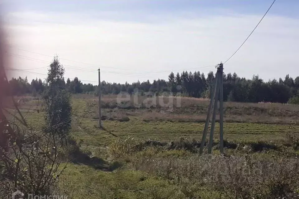 Участок в Псковская область, Гдовский муниципальный округ, д. Ветвеник ... - Фото 1