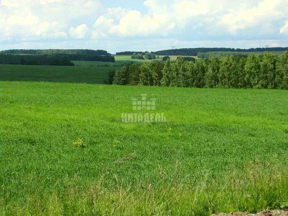 Участок в Воронежская область, Семилукский район, Девицкое с/пос, ... - Фото 0