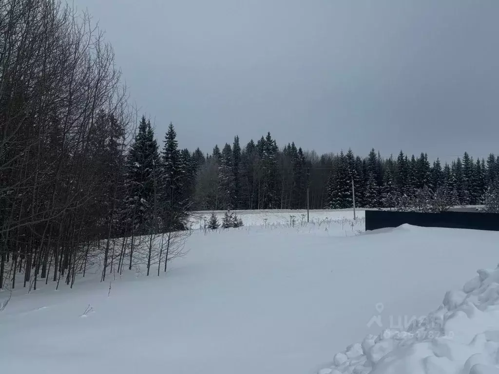 Участок в Пермский край, Пермский муниципальный округ, д. Большакино ... - Фото 2