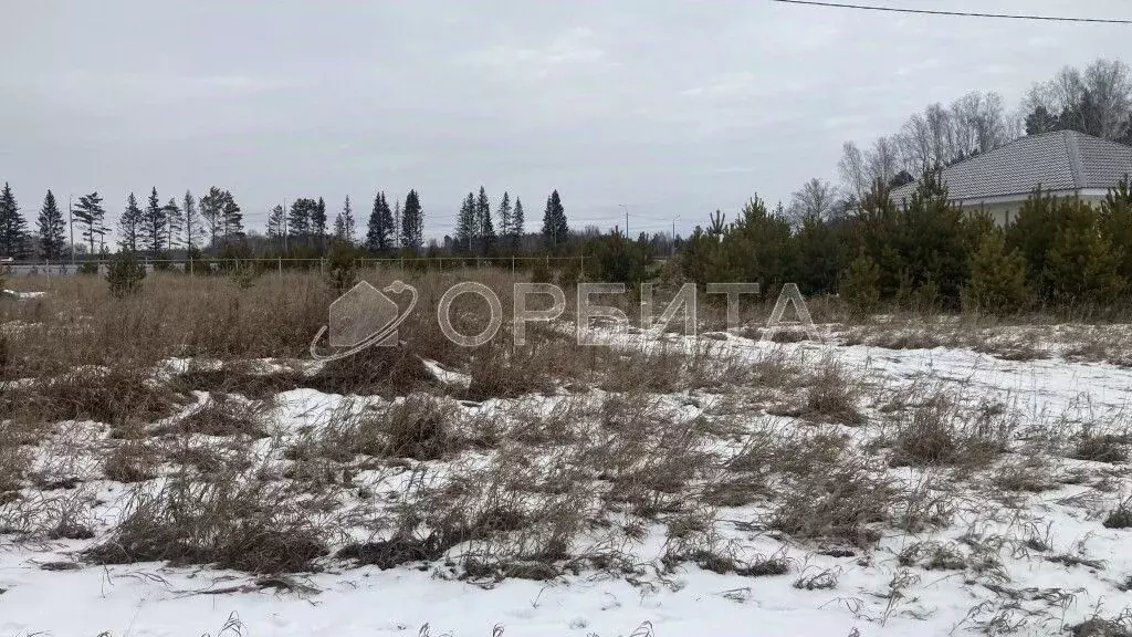 Участок в Тюменская область, Тюменский район, Онегин кп  (8.0 сот.) - Фото 1