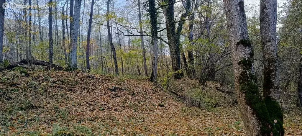 Участок в Северский район, Григорьевское сельское поселение, станица ... - Фото 0