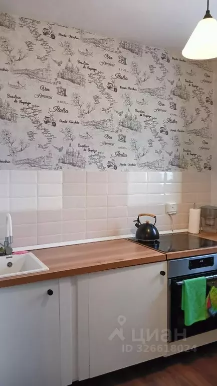 1-к кв. Санкт-Петербург ул. Шотмана, 11 (26.3 м) - Фото 2