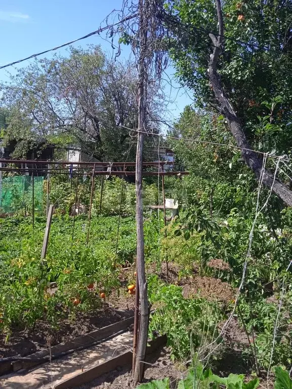Купить Дом В Снт Тихие Зори Уфа