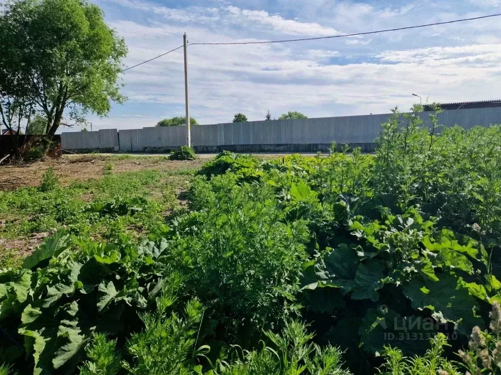 Участок в Московская область, Домодедово городской округ, с. Растуново ... - Фото 1