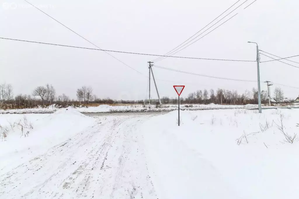 Участок в Тюмень, Центральный округ (15 м) - Фото 0