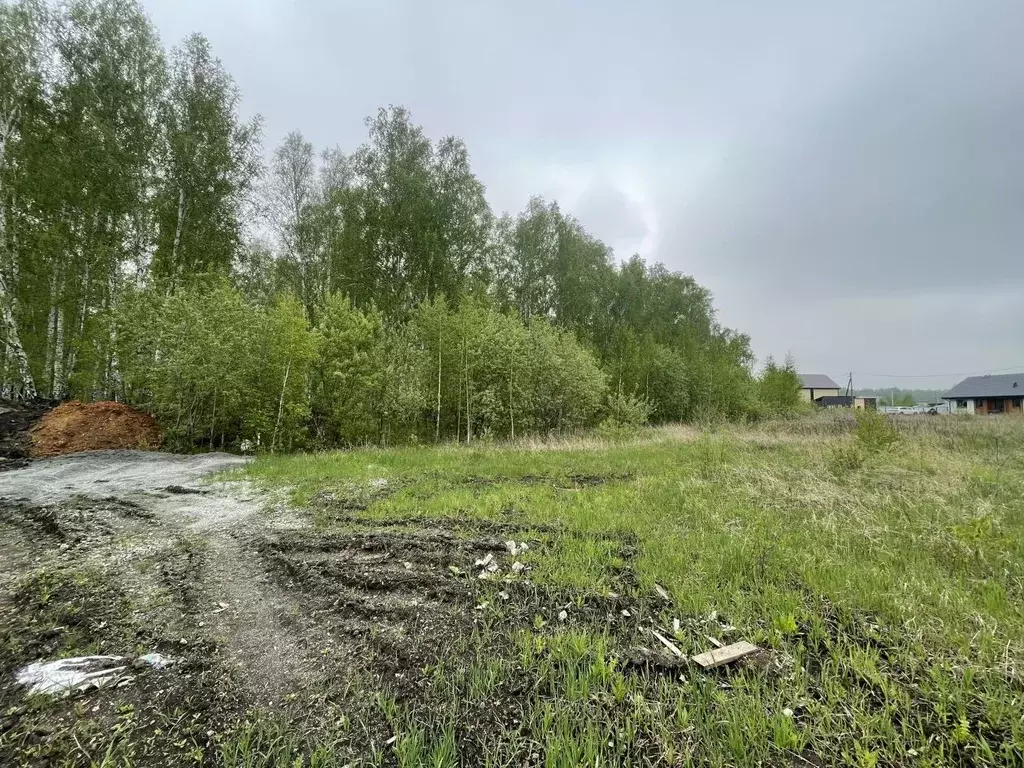 Участок в Челябинская область, Сосновский район, Кременкульское с/пос, ... - Фото 2