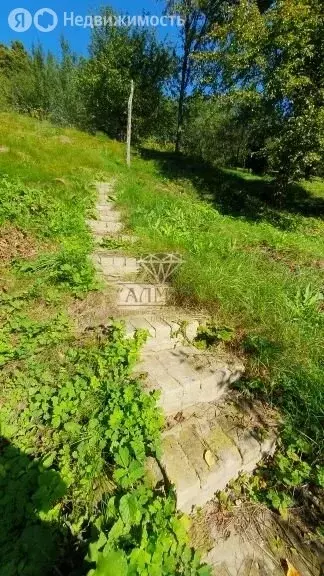 Участок в село Ольховец, Медицинская улица, 42 (50 м) - Фото 0