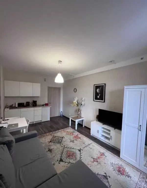 Студия Санкт-Петербург Пулковское ш., 14Г (25.9 м) - Фото 2