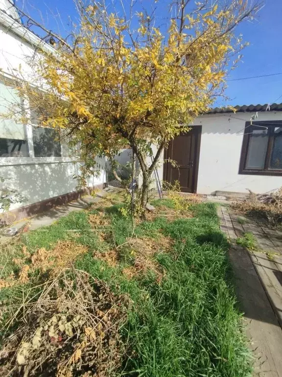 Дом в Краснодарский край, Темрюкский район, Тамань ст-ца ул. Калинина ... - Фото 2