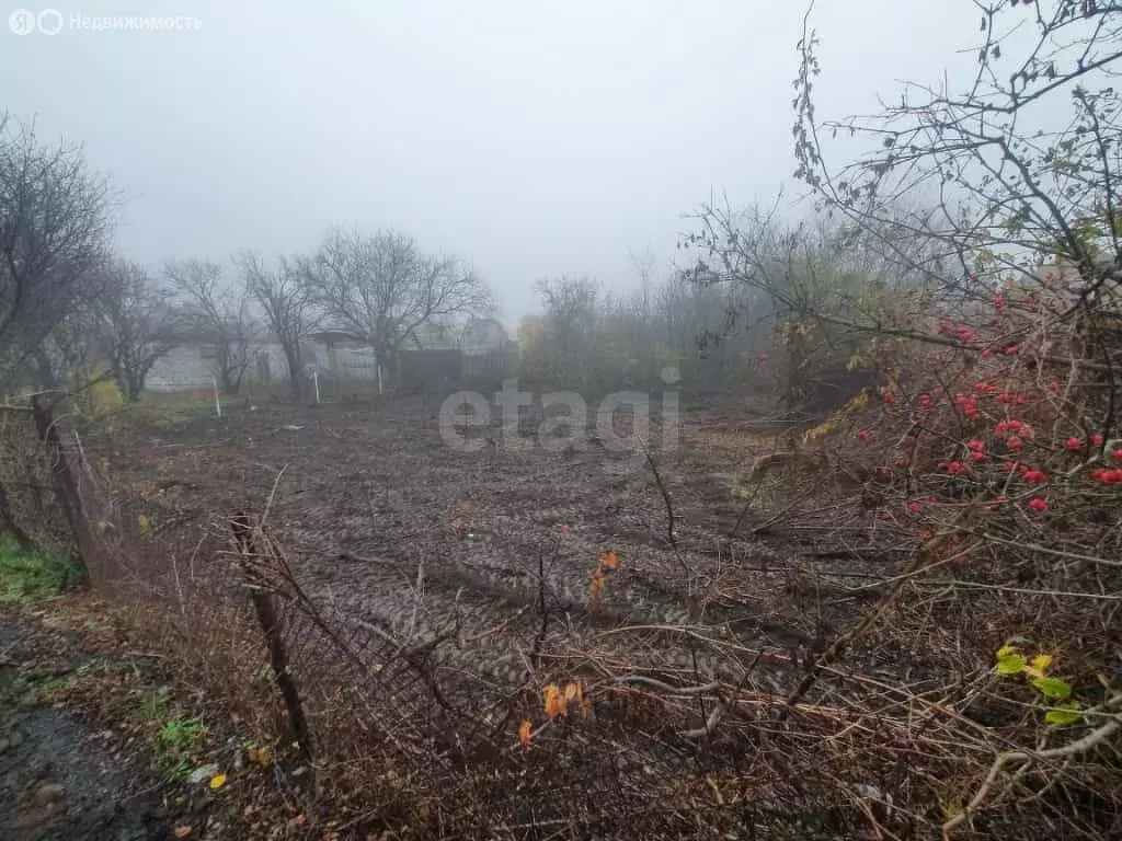 Участок в Кулешовское сельское поселение, дачное некоммерческое ... - Фото 2