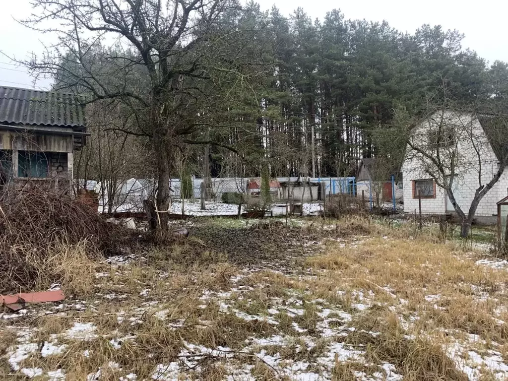 Дом в Брянская область, Брянский район, Новодарковичское с/пос, пос. ... - Фото 2