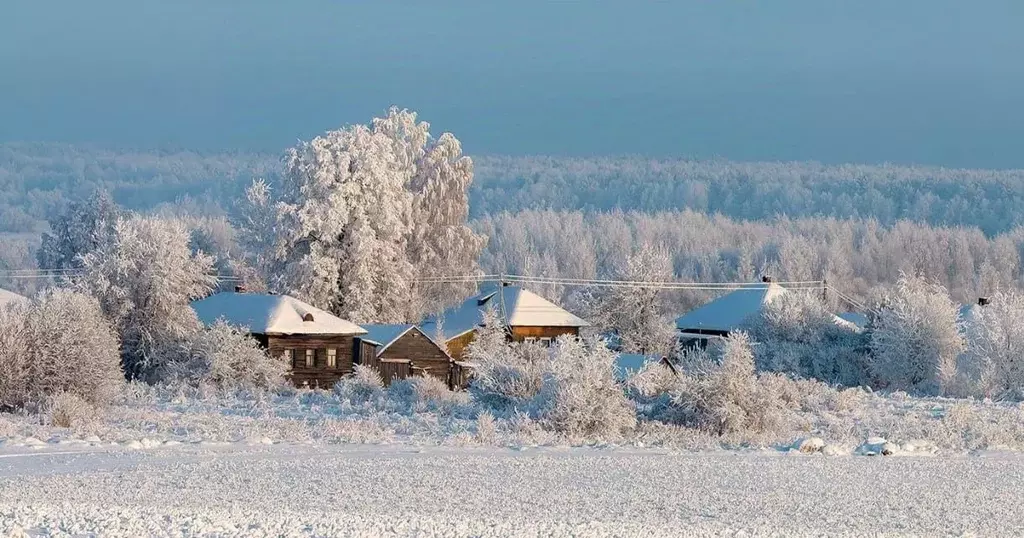 Участок в Омская область, Омский район, Магистральное с/пос, с. ... - Фото 0