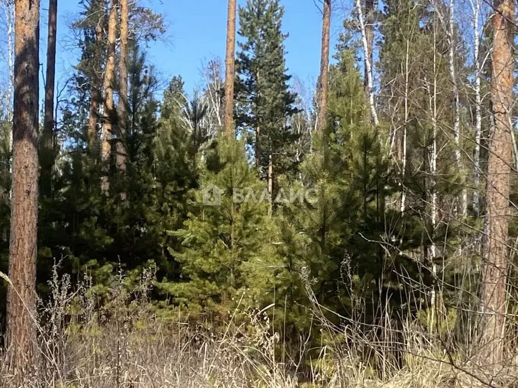 Участок в Иркутская область, Ангарск 255-й кв-л,  (10.0 сот.) - Фото 0
