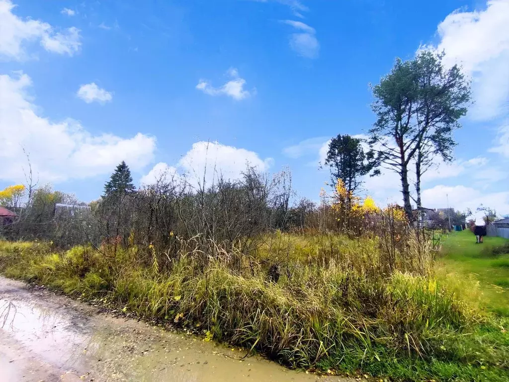 Участок в Смоленская область, Смоленский муниципальный округ, Связист ... - Фото 1