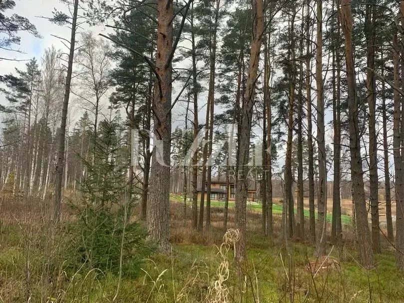Участок в Ленинградская область, Приозерский район, Громовское с/пос, ... - Фото 1