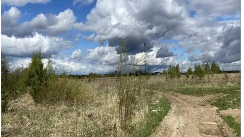 Участок в Московская область, Одинцовский городской округ, д. Борки, ... - Фото 1