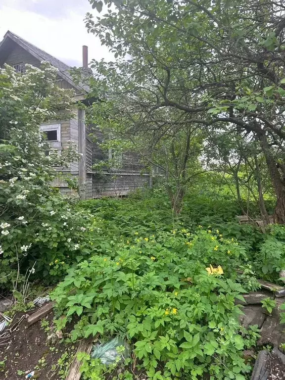Дом в Новгородская область, Валдай Подгорная ул., 1А (40 м) - Фото 0