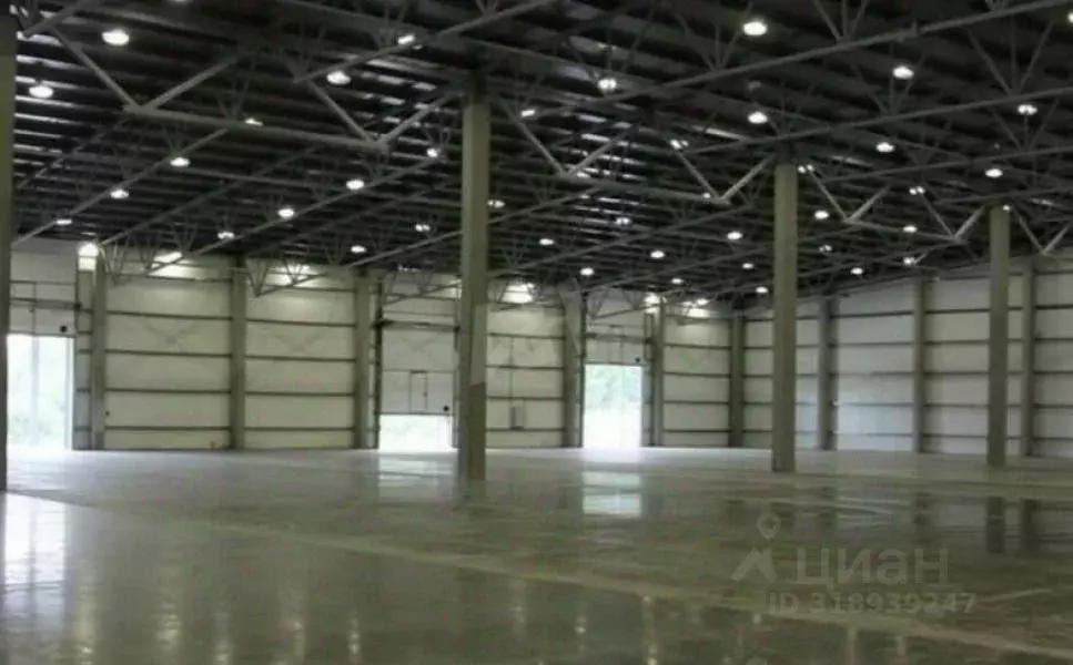 Склад в Московская область, Богородский городской округ, имени ... - Фото 1