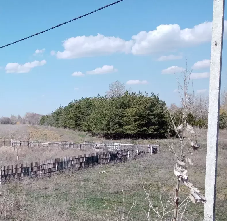 Участок в Волгоградская область, Волжский Мичуринец СНТ, ул. ... - Фото 1