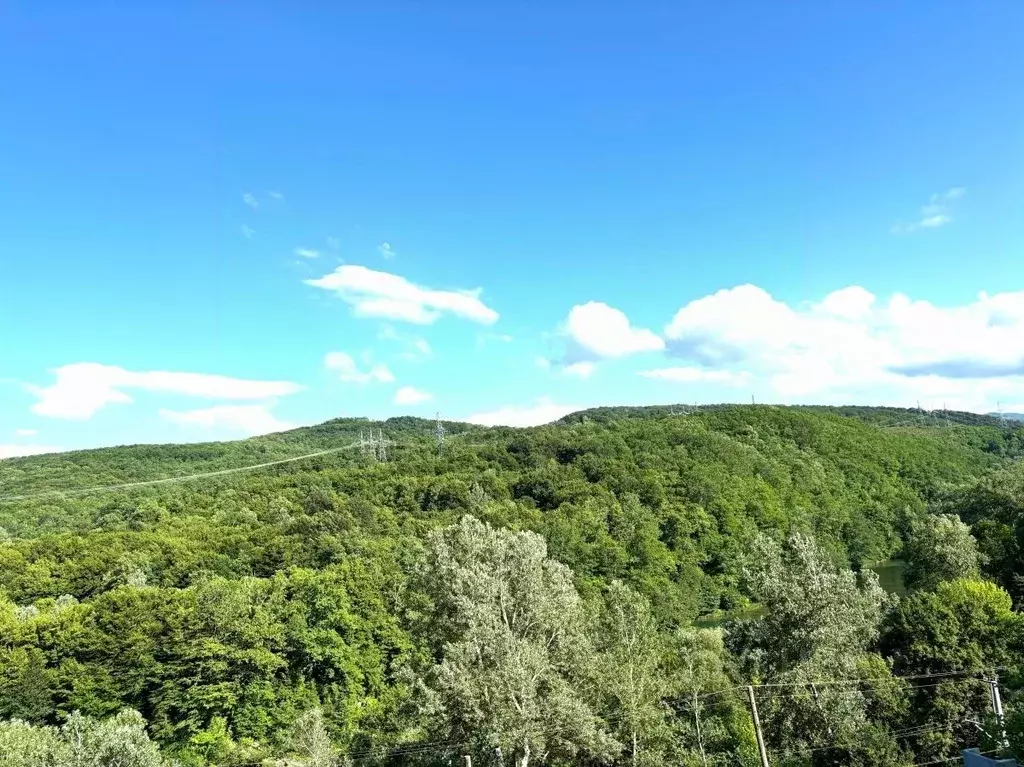 Участок в Краснодарский край, Апшеронский район, Куринская ст-ца ул. ... - Фото 1