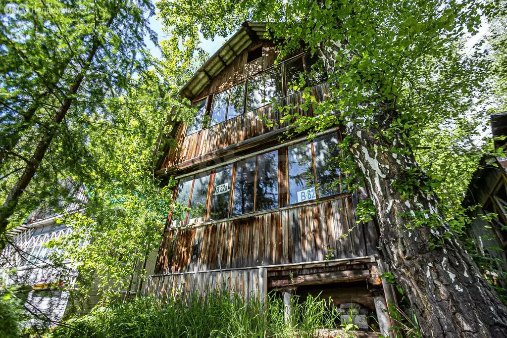Участок в Барышевский сельсовет, некоммерческое садоводческое ... - Фото 1