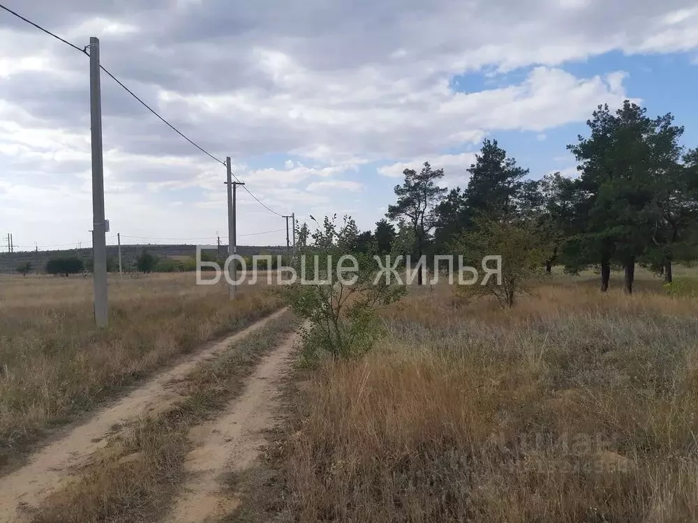 Участок в Волгоградская область, Городищенский район, Царицынское ... - Фото 1