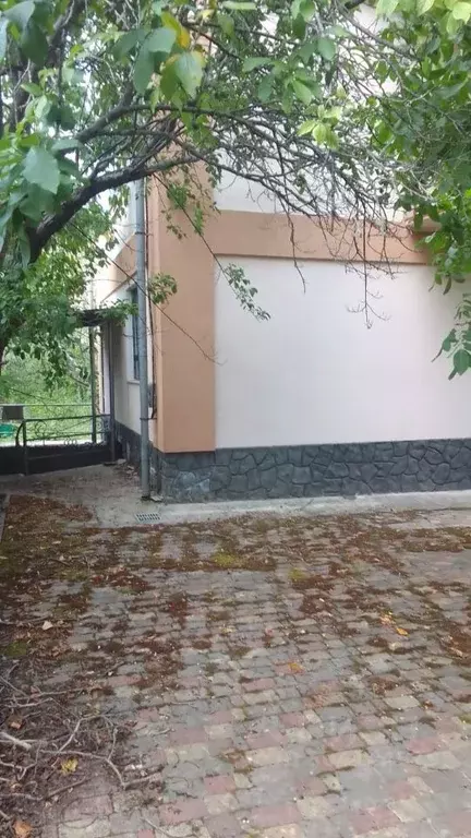 Дом в Севастополь с. Кизиловое, ул. Героя, 397 (230 м) - Фото 1