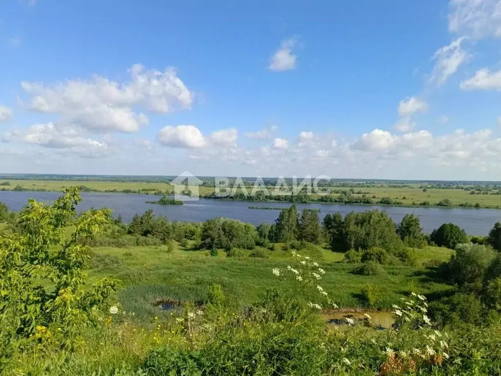 2-к кв. Рязанская область, Рыбновский район, с. Кузьминское  (52.0 м) - Фото 2