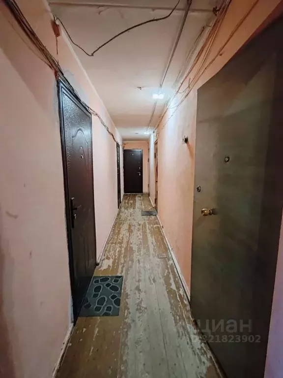 1-к кв. Удмуртия, Ижевск ул. 50 лет Пионерии, 23 (18.0 м) - Фото 1