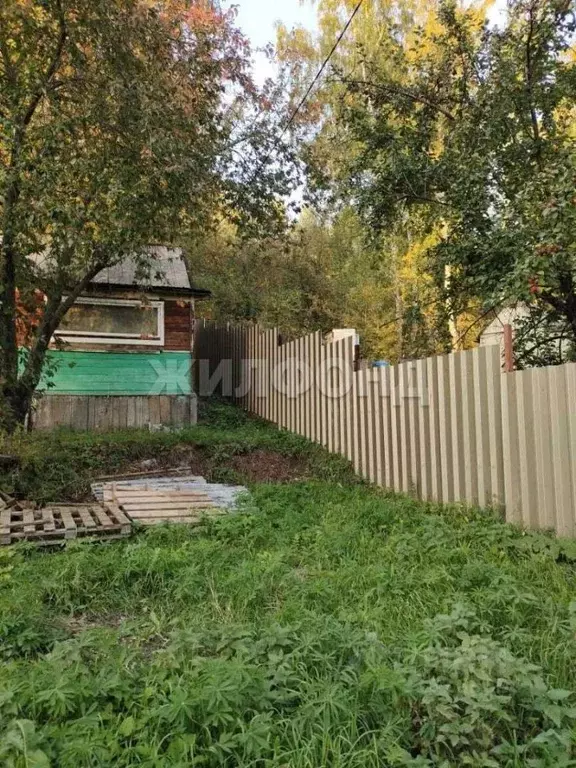 Дом в Новосибирская область, Новосибирск  (15 м) - Фото 1