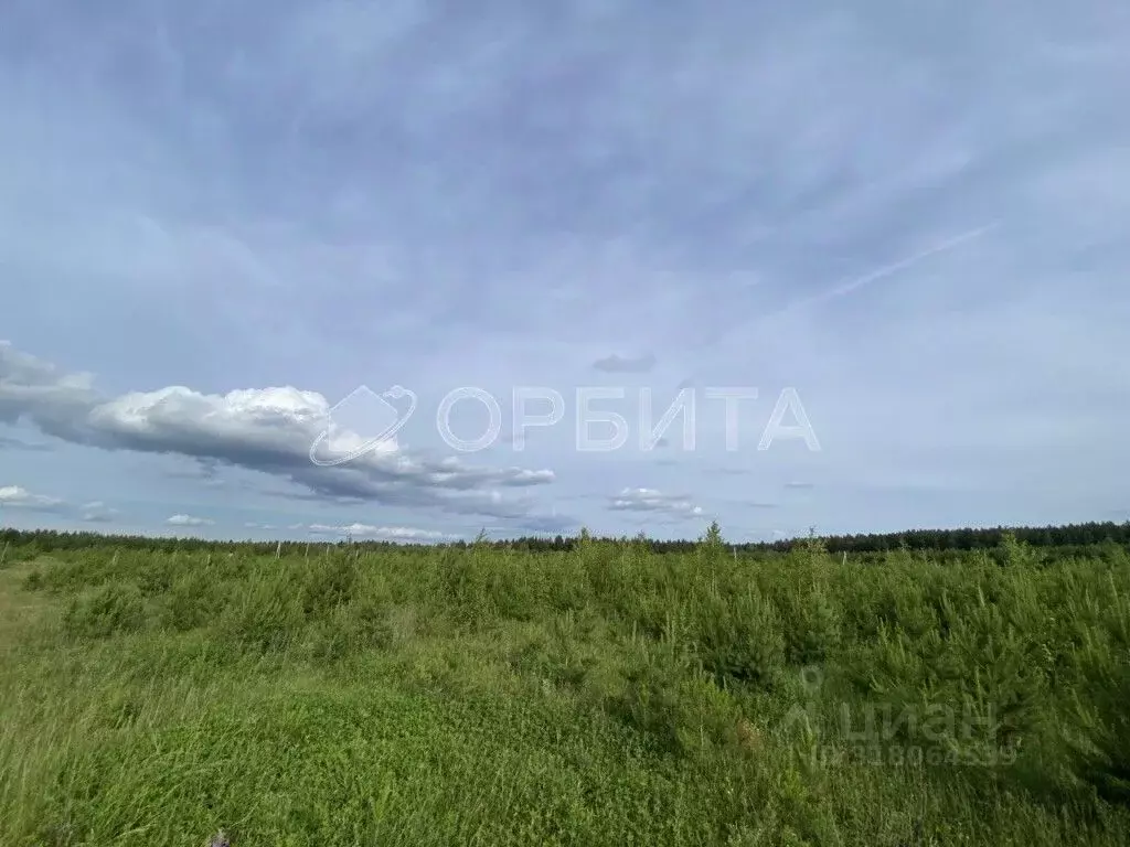 Участок в Свердловская область, Тугулым пгт пл. 50-летия Октября (15.0 ... - Фото 0
