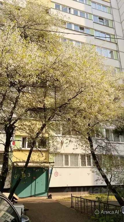 Комната Санкт-Петербург ул. Есенина, 14К2 (12.0 м) - Фото 1