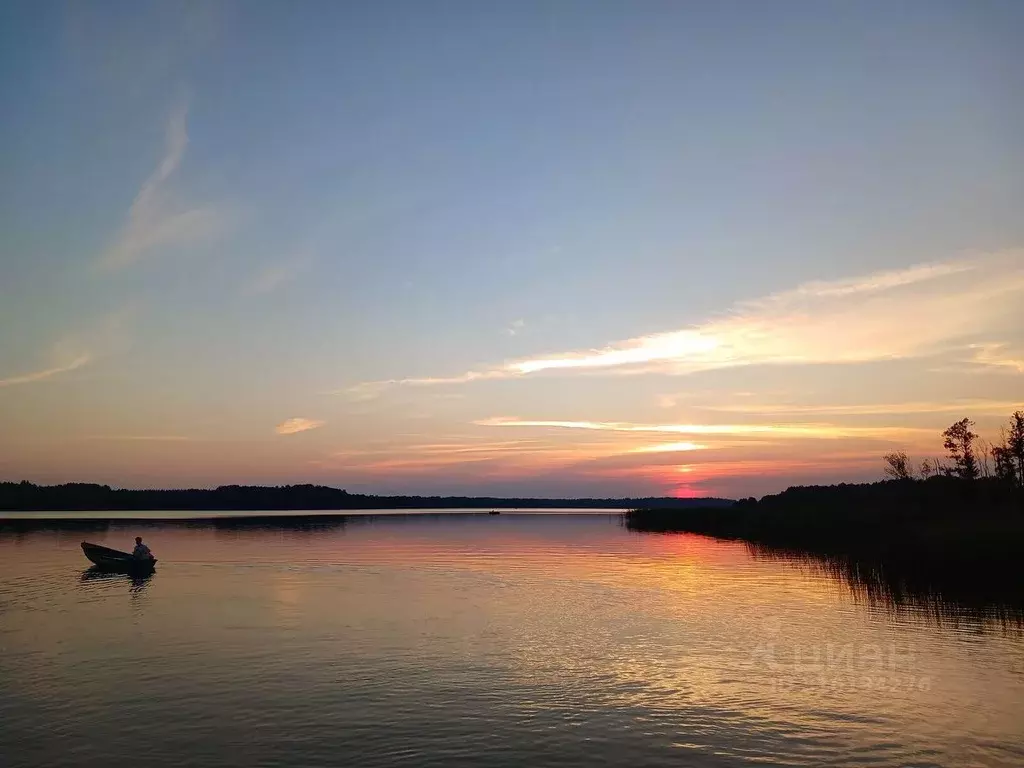 Участок в Ленинградская область, Приозерский район, Красноозерное ... - Фото 1