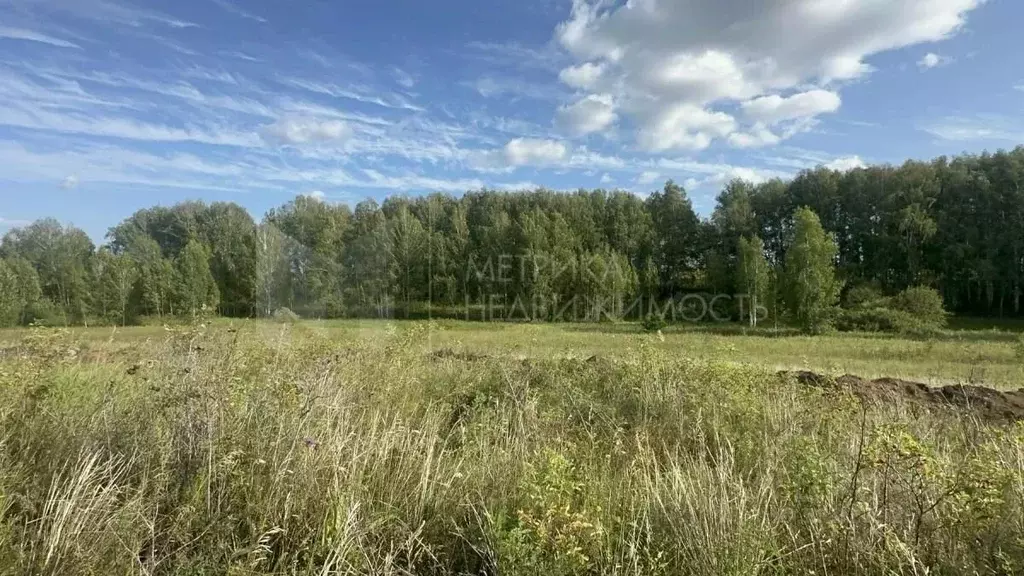 Участок в Тюменская область, Тюменский район, с. Кулига ул. Бирюзовая ... - Фото 1