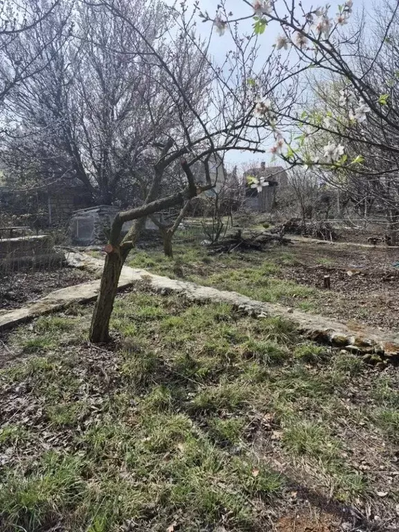 Участок в Севастополь Гидронавт садоводческое товарищество, 216 (4.1 ... - Фото 2