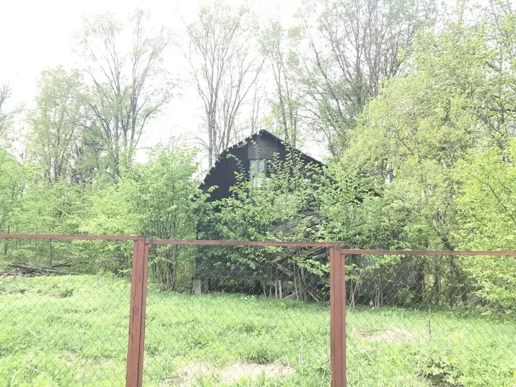 Участок, 6 сот., 0 - Фото 2