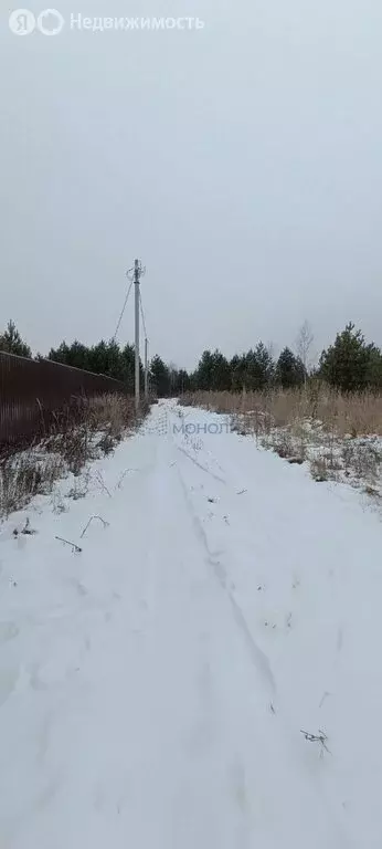 Участок в Нижегородская область, Богородский муниципальный округ, ... - Фото 1