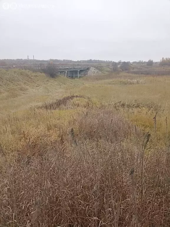 Участок в Московская область, городской округ Клин, деревня Голышкино, ... - Фото 1