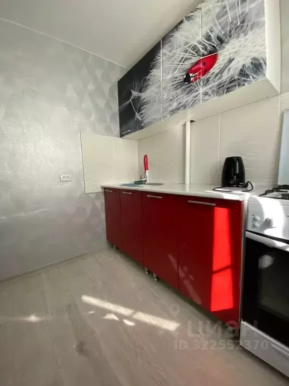 1-к кв. Волгоградская область, Волгоград Удмуртская ул., 8 (31.0 м) - Фото 2