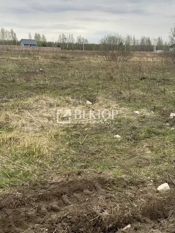 Участок 14 сот. (ИЖС) - Фото 1