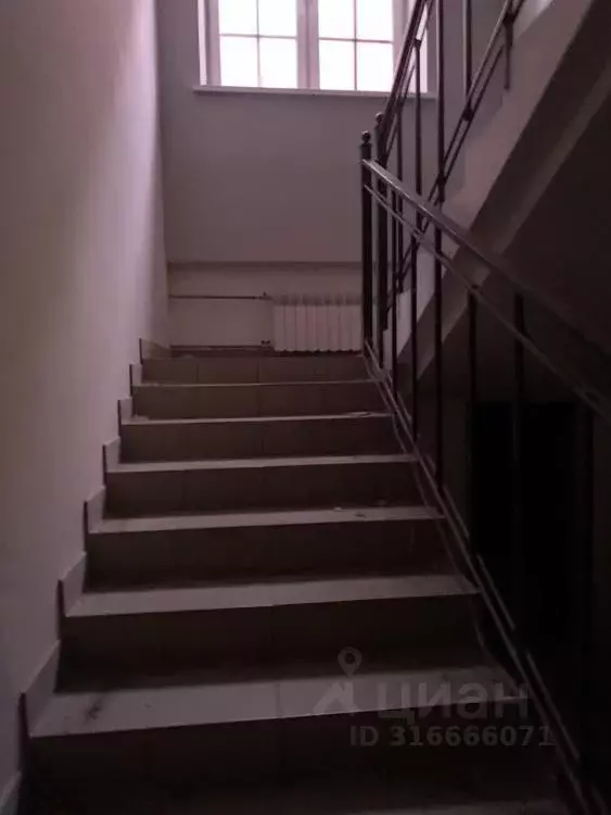 Помещение свободного назначения в Иркутская область, Иркутск ул. ... - Фото 1