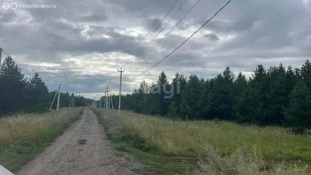 Участок в Курганская область, Кетовский муниципальный округ, село ... - Фото 1