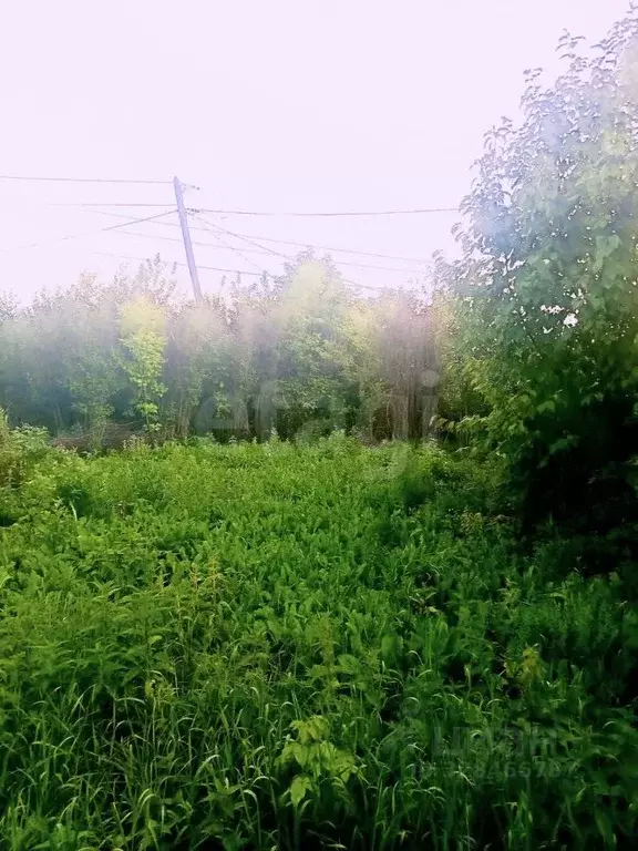 Дом в Кемеровская область, Кемерово Садоводов-любителей Южное ... - Фото 1